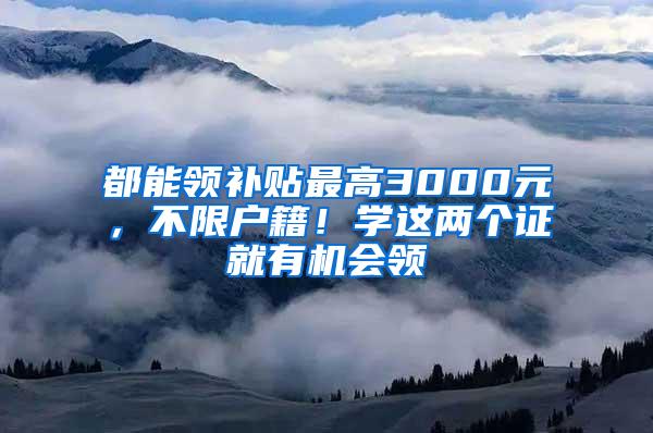 都能领补贴最高3000元，不限户籍！学这两个证就有机会领