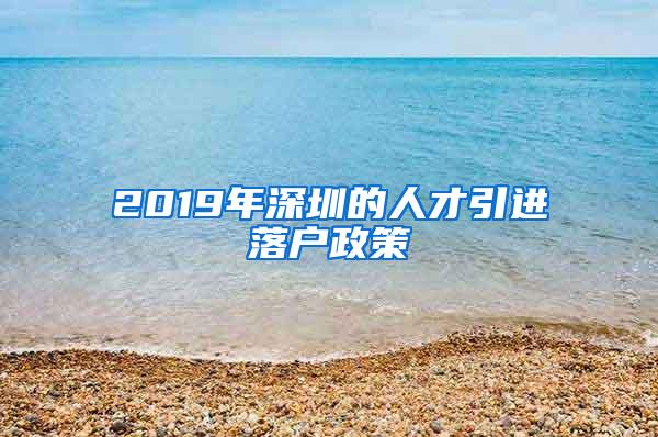 2019年深圳的人才引进落户政策