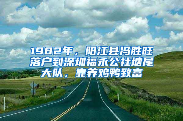 1982年，阳江县冯胜旺落户到深圳福永公社塘尾大队，靠养鸡鸭致富