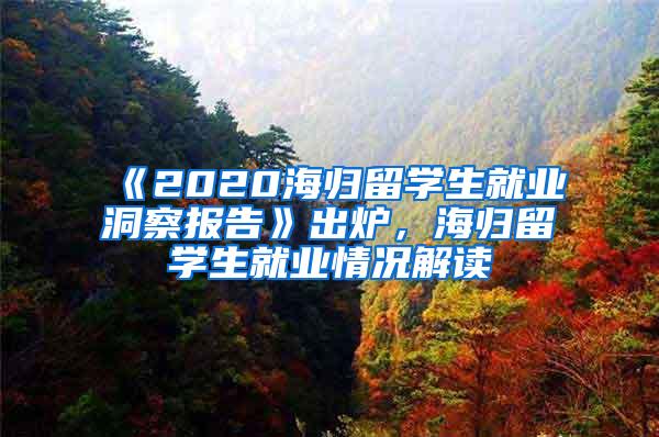 《2020海归留学生就业洞察报告》出炉，海归留学生就业情况解读