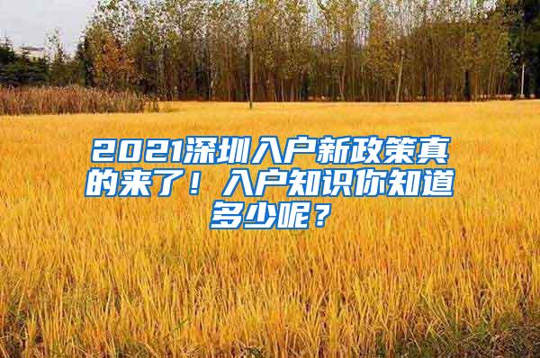 2021深圳入户新政策真的来了！入户知识你知道多少呢？