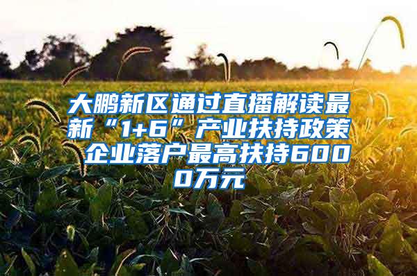 大鹏新区通过直播解读最新“1+6”产业扶持政策 企业落户最高扶持6000万元