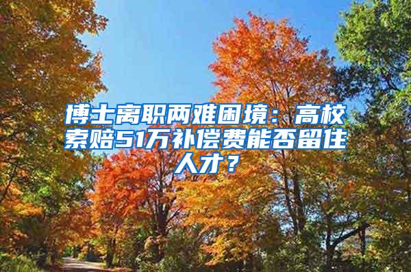 博士离职两难困境：高校索赔51万补偿费能否留住人才？