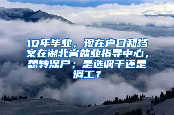 10年毕业，现在户口和档案在湖北省就业指导中心，想转深户；是选调干还是调工？