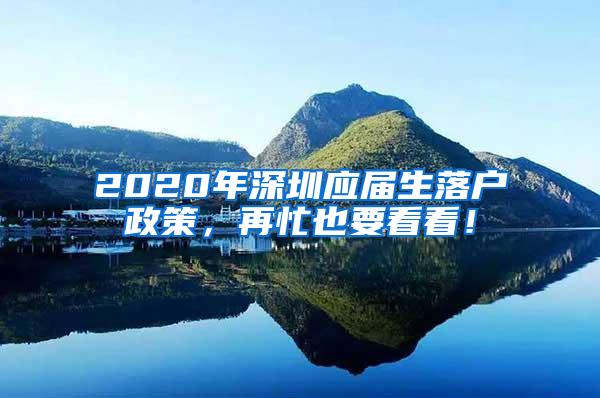 2020年深圳应届生落户政策，再忙也要看看！