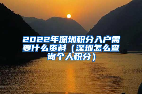 2022年深圳积分入户需要什么资料（深圳怎么查询个人积分）