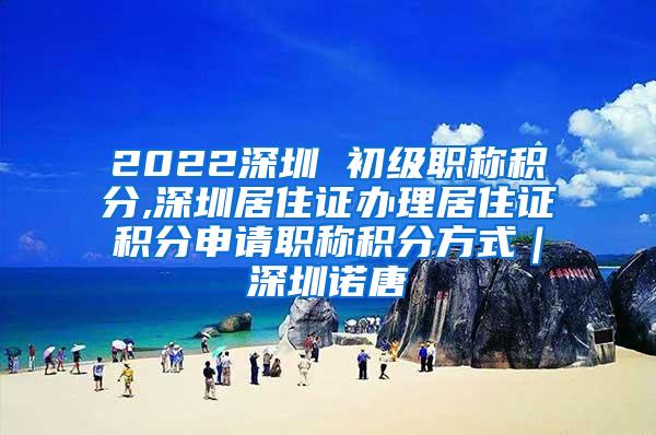 2022深圳 初级职称积分,深圳居住证办理居住证积分申请职称积分方式｜深圳诺唐