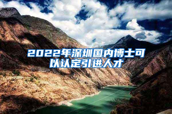 2022年深圳国内博士可以认定引进人才