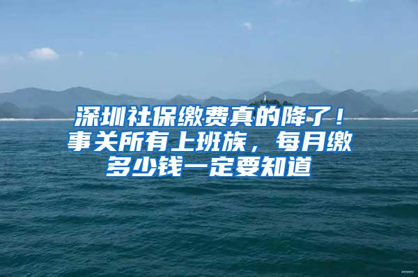 深圳社保缴费真的降了！事关所有上班族，每月缴多少钱一定要知道