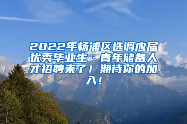 2022年杨浦区选调应届优秀毕业生·青年储备人才招聘来了！期待你的加入！