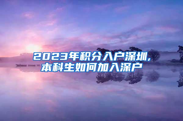 2023年积分入户深圳,本科生如何加入深户