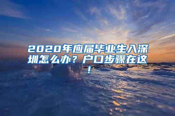 2020年应届毕业生入深圳怎么办？户口步骤在这！