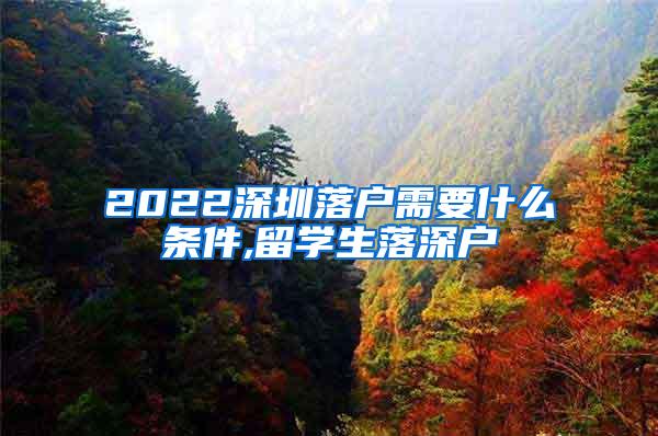 2022深圳落户需要什么条件,留学生落深户