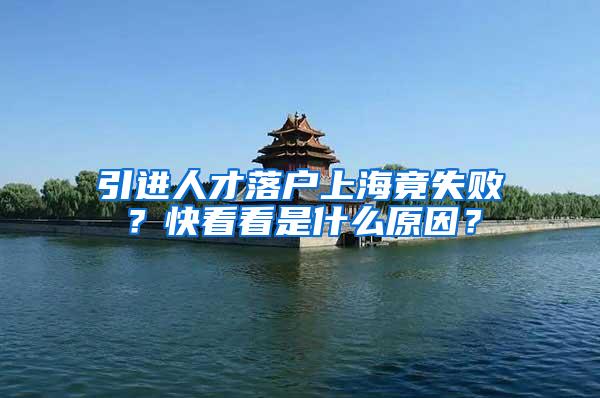 引进人才落户上海竟失败？快看看是什么原因？