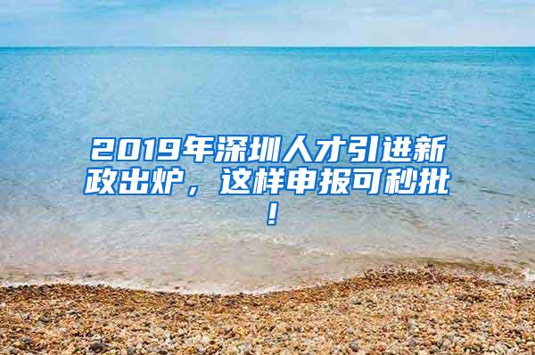 2019年深圳人才引进新政出炉，这样申报可秒批！