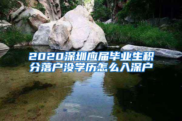 2020深圳应届毕业生积分落户没学历怎么入深户