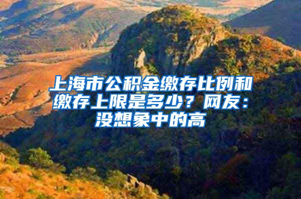 上海市公积金缴存比例和缴存上限是多少？网友：没想象中的高