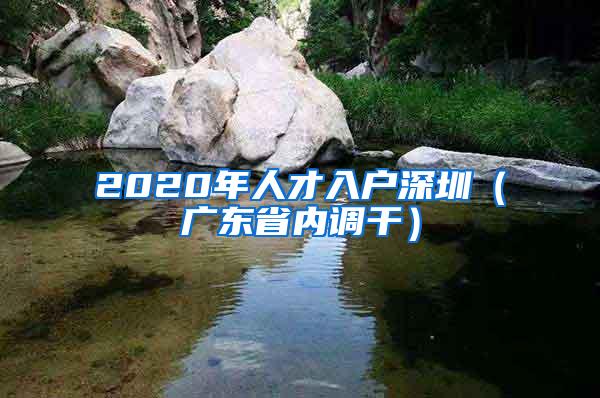 2020年人才入户深圳（广东省内调干）