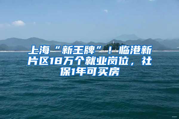 上海“新王牌”！临港新片区18万个就业岗位，社保1年可买房