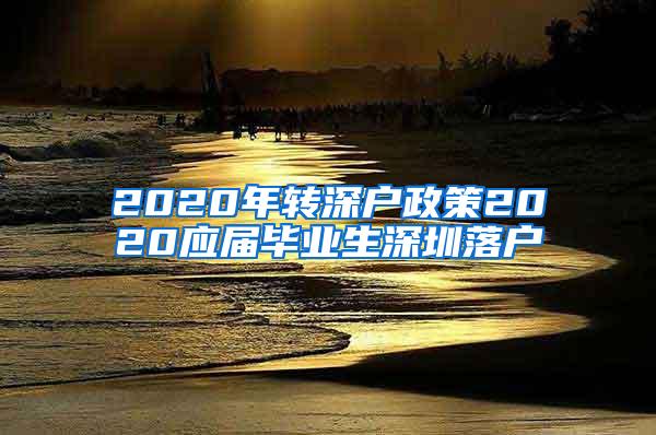 2020年转深户政策2020应届毕业生深圳落户