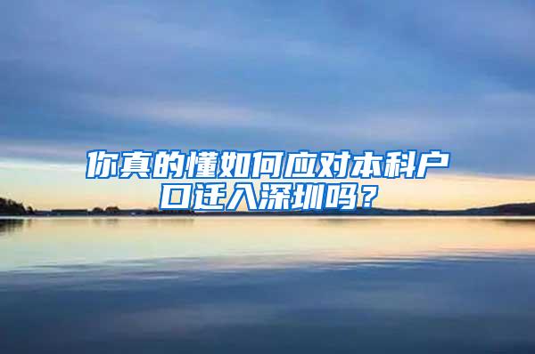 你真的懂如何应对本科户口迁入深圳吗？