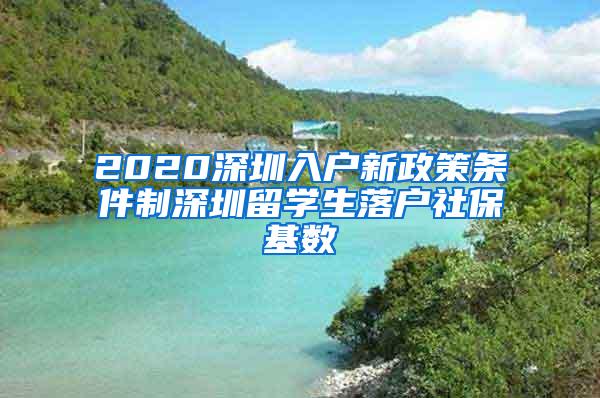 2020深圳入户新政策条件制深圳留学生落户社保基数