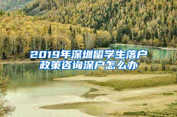 2019年深圳留学生落户政策咨询深户怎么办