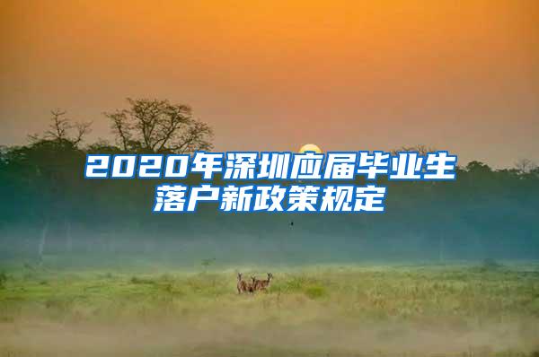 2020年深圳应届毕业生落户新政策规定