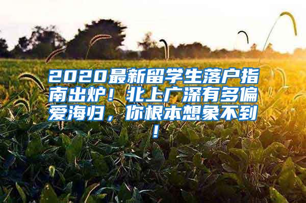 2020最新留学生落户指南出炉！北上广深有多偏爱海归，你根本想象不到！