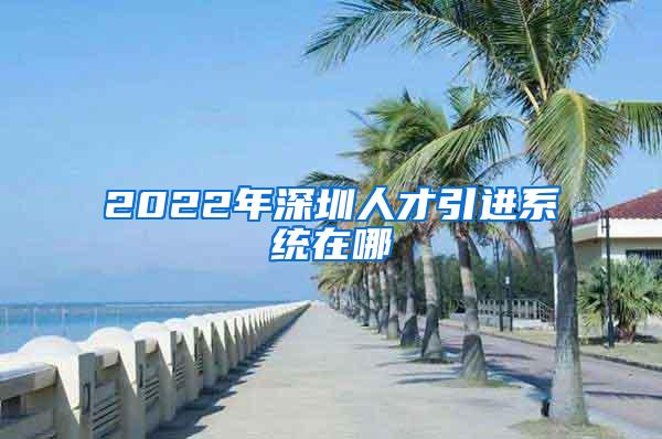 2022年深圳人才引进系统在哪