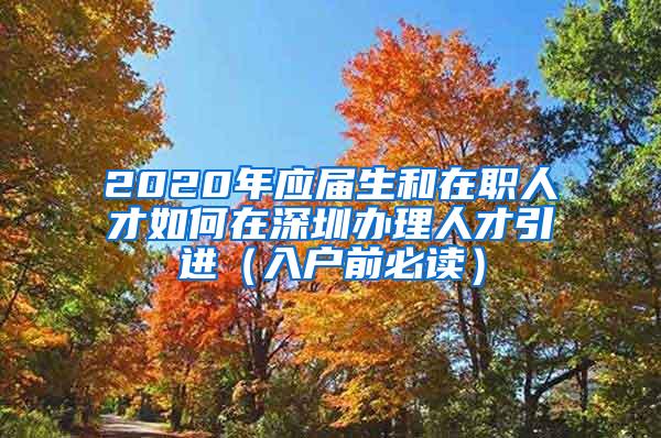 2020年应届生和在职人才如何在深圳办理人才引进（入户前必读）