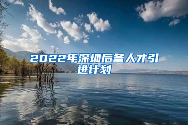 2022年深圳后备人才引进计划