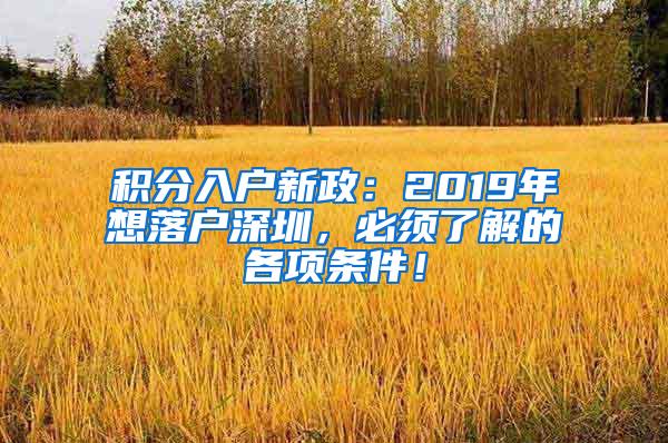 积分入户新政：2019年想落户深圳，必须了解的各项条件！