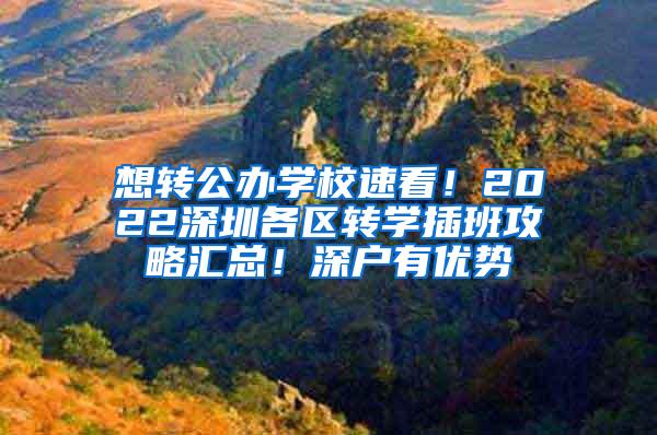 想转公办学校速看！2022深圳各区转学插班攻略汇总！深户有优势