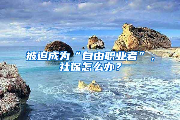 被迫成为“自由职业者”，社保怎么办？