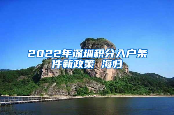 2022年深圳积分入户条件新政策 海归