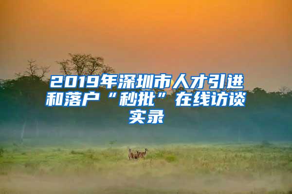 2019年深圳市人才引进和落户“秒批”在线访谈实录