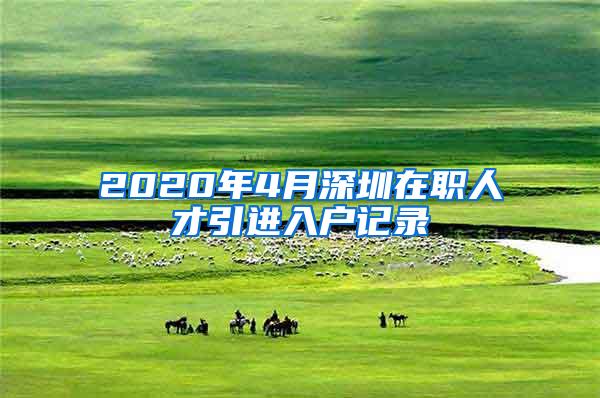 2020年4月深圳在职人才引进入户记录