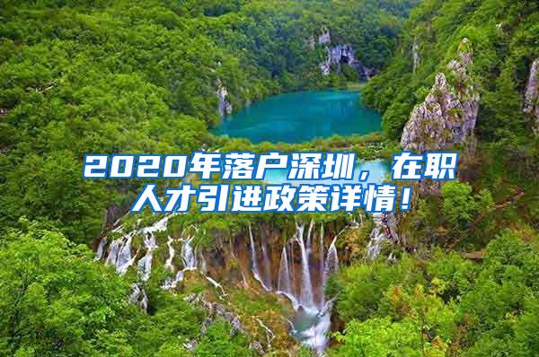 2020年落户深圳，在职人才引进政策详情！