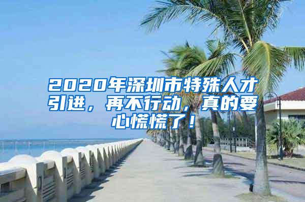 2020年深圳市特殊人才引进，再不行动，真的要心慌慌了！