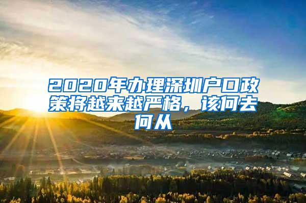 2020年办理深圳户口政策将越来越严格，该何去何从