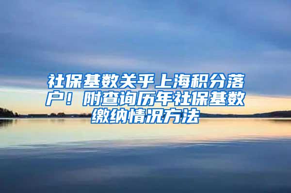 社保基数关乎上海积分落户！附查询历年社保基数缴纳情况方法