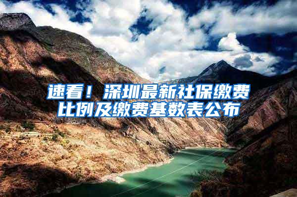 速看！深圳最新社保缴费比例及缴费基数表公布