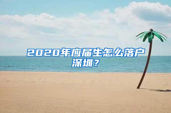 2020年应届生怎么落户深圳？