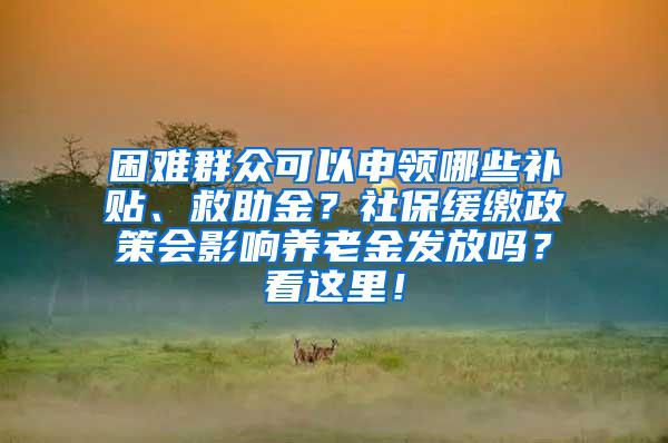 困难群众可以申领哪些补贴、救助金？社保缓缴政策会影响养老金发放吗？看这里！