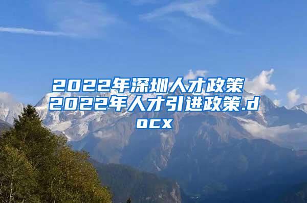 2022年深圳人才政策 2022年人才引进政策.docx