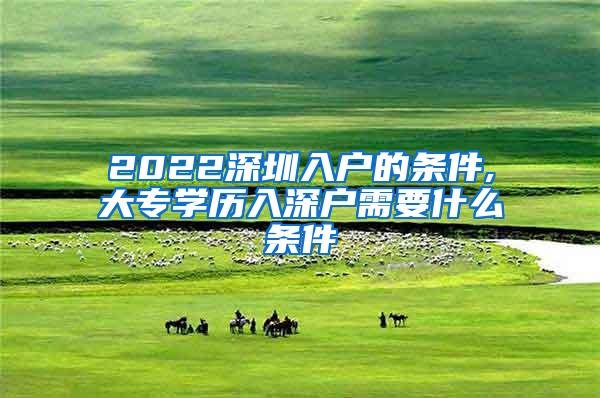 2022深圳入户的条件,大专学历入深户需要什么条件