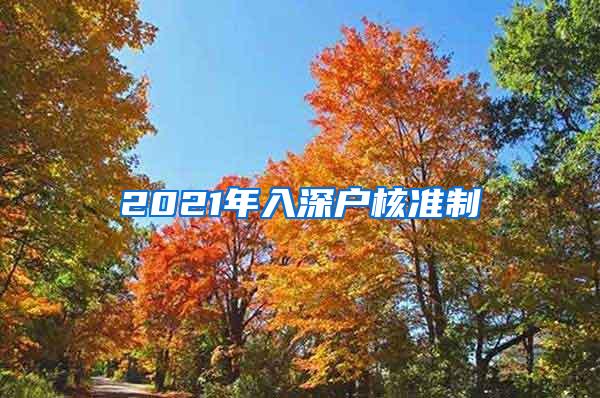 2021年入深户核准制