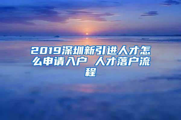 2019深圳新引进人才怎么申请入户 人才落户流程