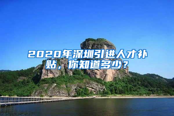 2020年深圳引进人才补贴，你知道多少？